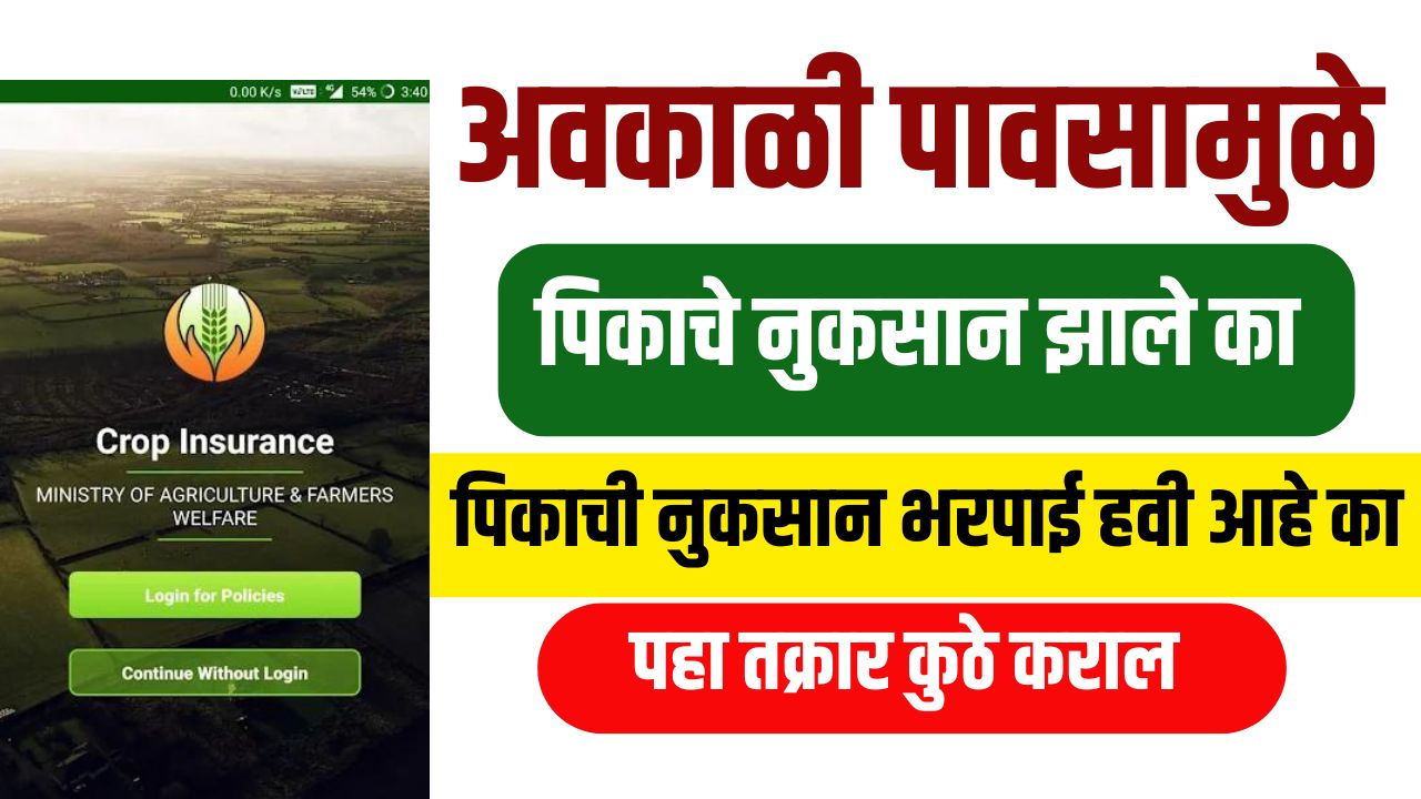 अवकाळी पावसामुळे पिकाचे नुकसान झाल्यास नुकसान भरपाईसाठी तक्रार कुठे कराल, पहा सविस्तर माहिती