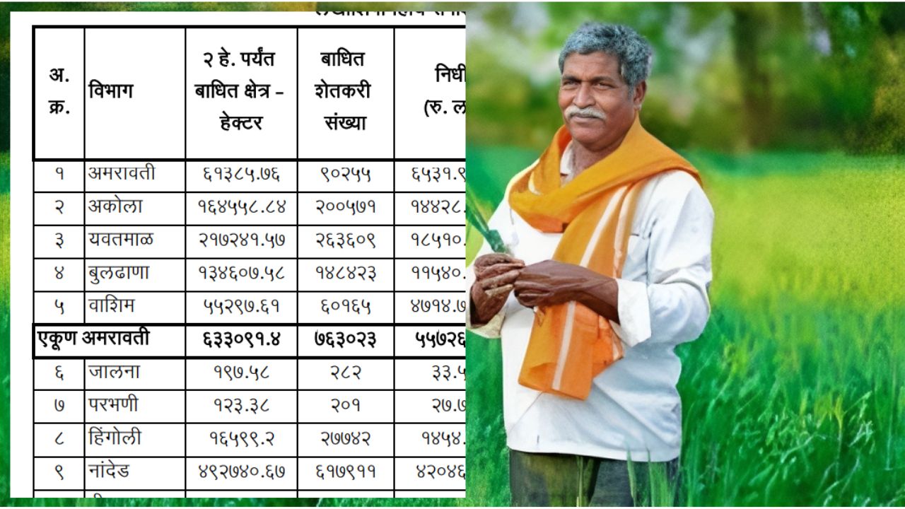 कापूस सोयाबीन अनुदान यादीत नाव नाही तर करा हे काम Anudan yadi